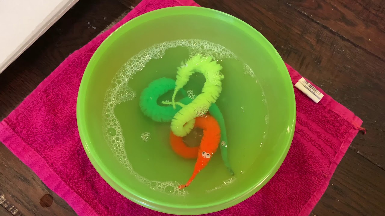 How to bathe your worms on a string! *EMOTINAL*