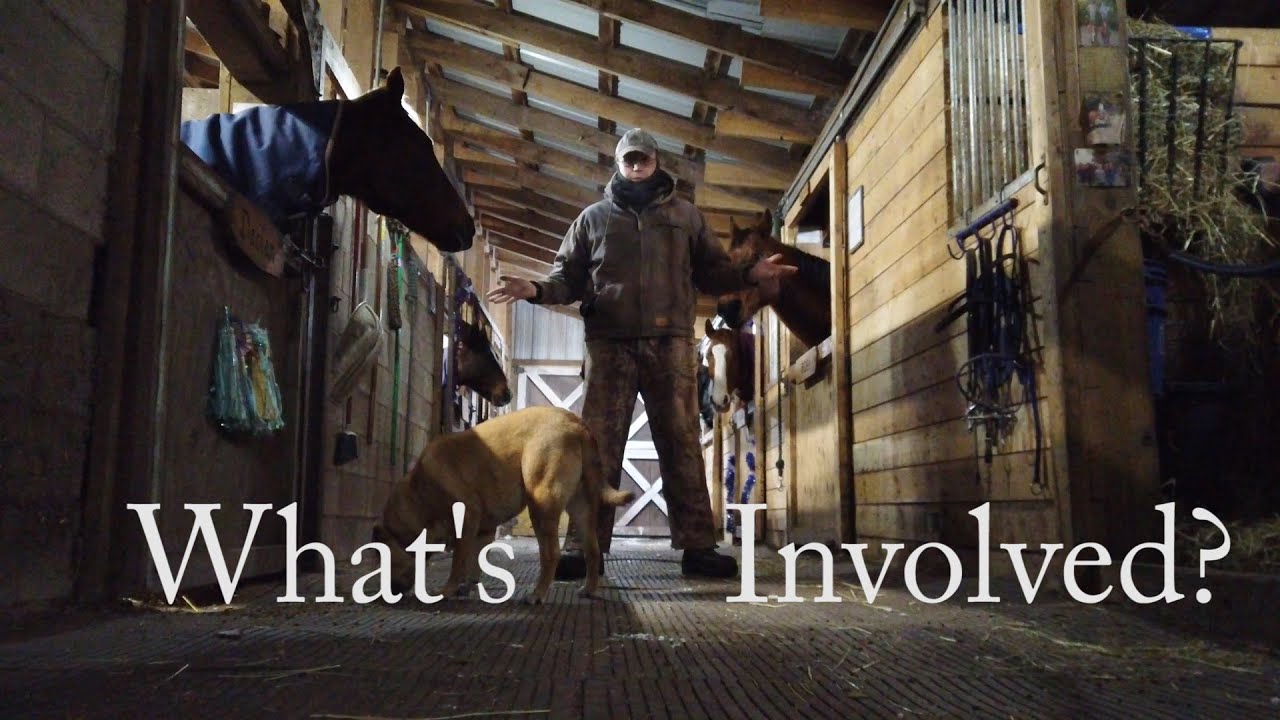 Keeping Our Horses In, Why?