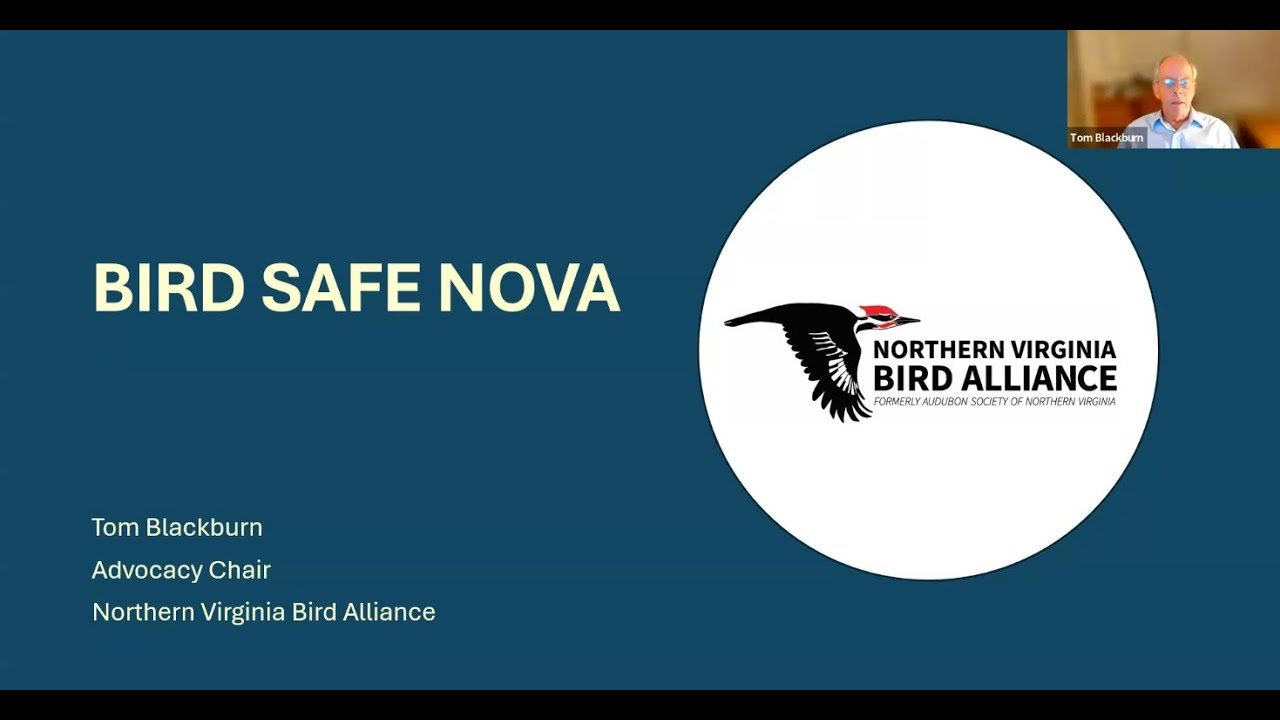 GFCA Environment & Parks Committee Bird Safe NOVA