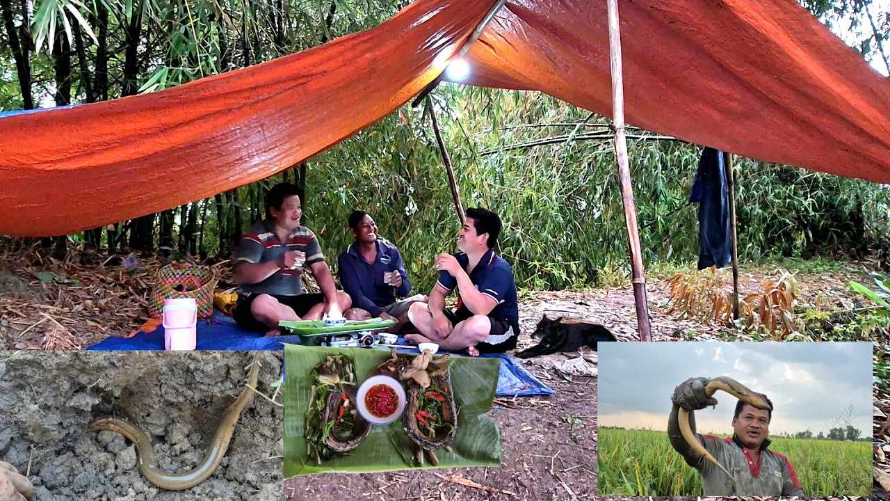 Tập 14.2026 || Lươn Hấp Hành Lai Rai Buổi Chiều Mưa