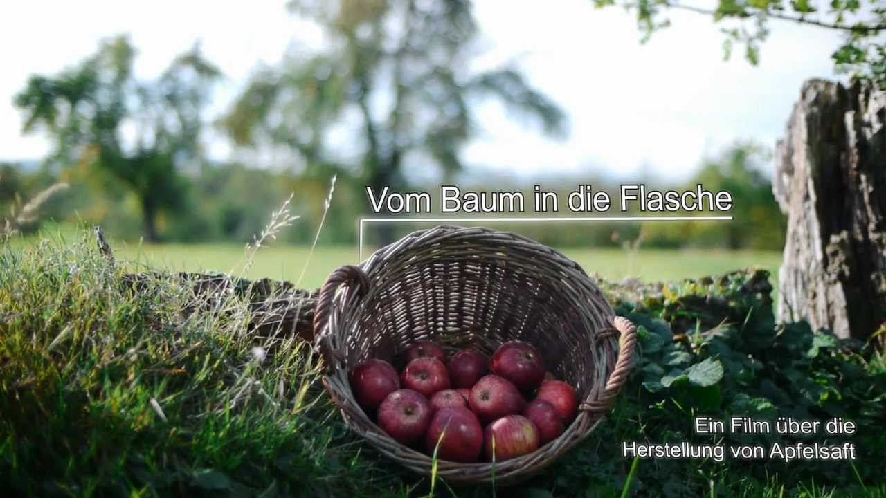 Vom Baum in die Flasche - Die Herstellung von Apfelsaft