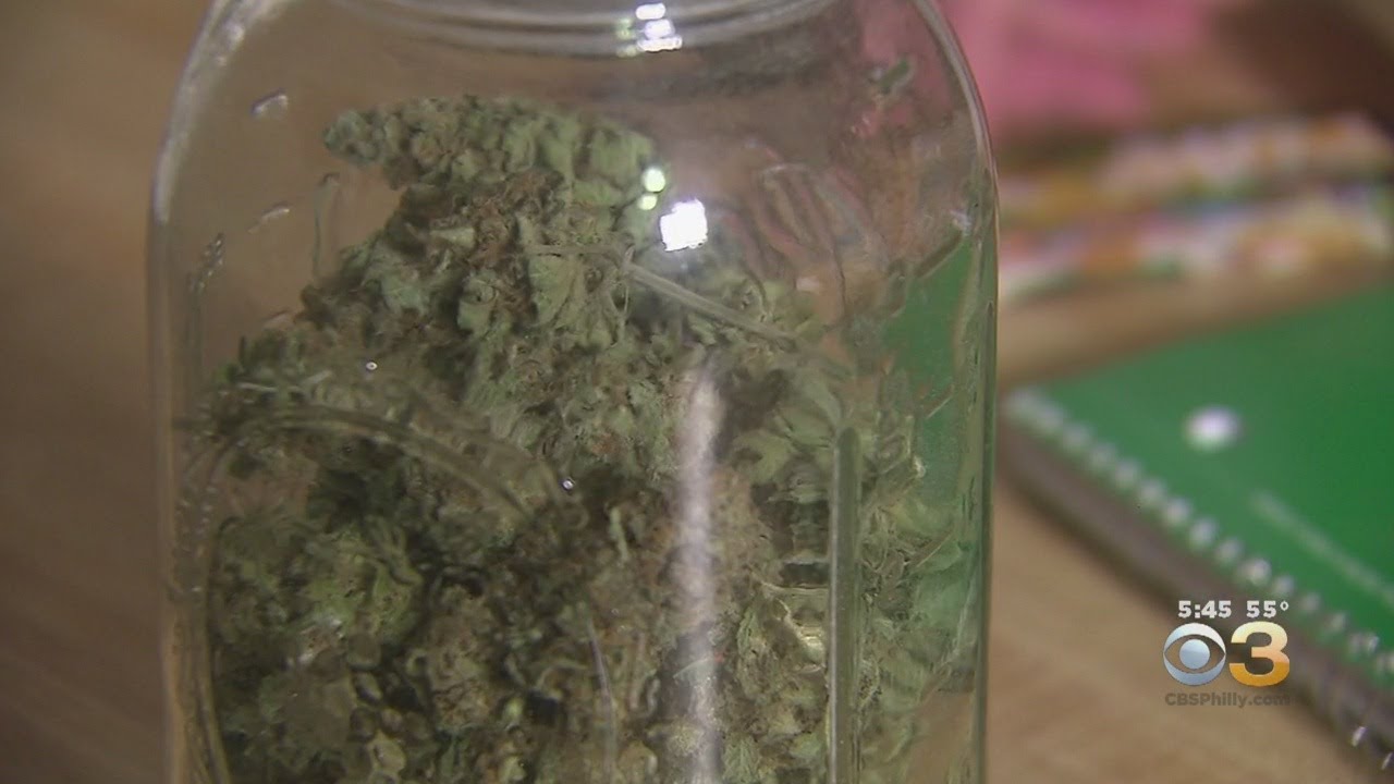 Marijuana Not Helpful In Treating Mental Health Problems, Researchers Say