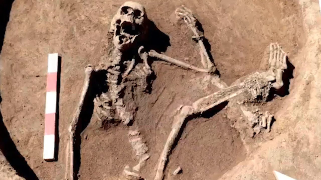 6500 Jahre alter Sensationsfund: Arch&auml;ologen entdecken Skelett mit 180 Goldringen