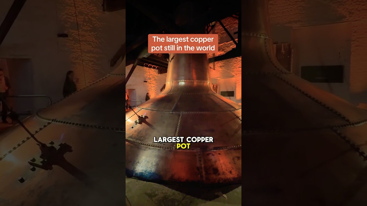 Largest Copper Pot still in world  #bar #whisky #luxurywhisky #rare