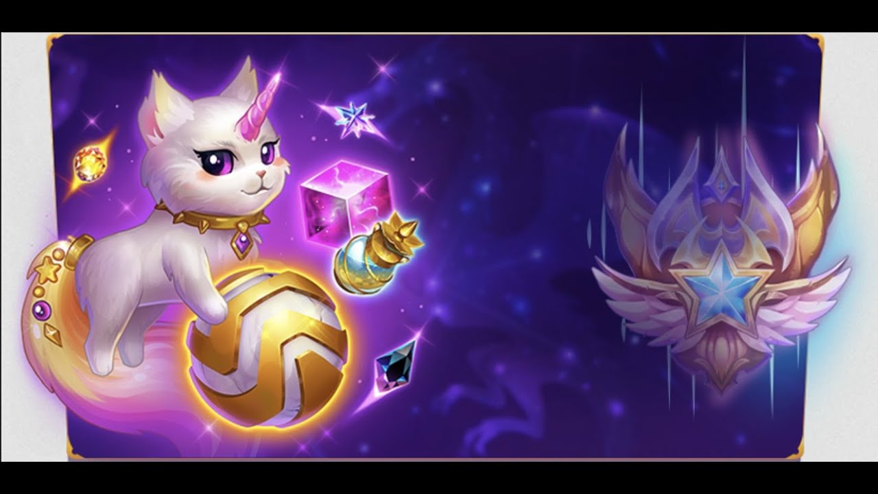 Pet Season: Another one already!?