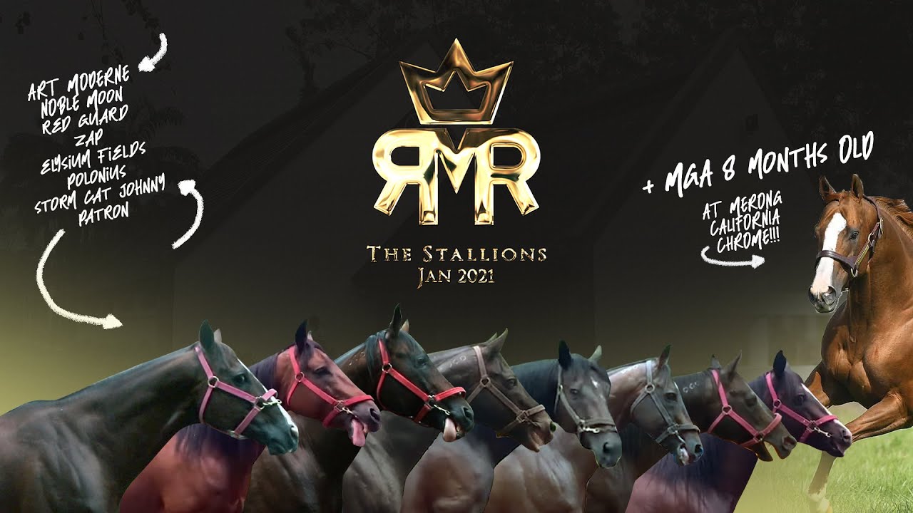 ROYAL MAVERICK RANCH (PART 4) - THE STALLIONS | 