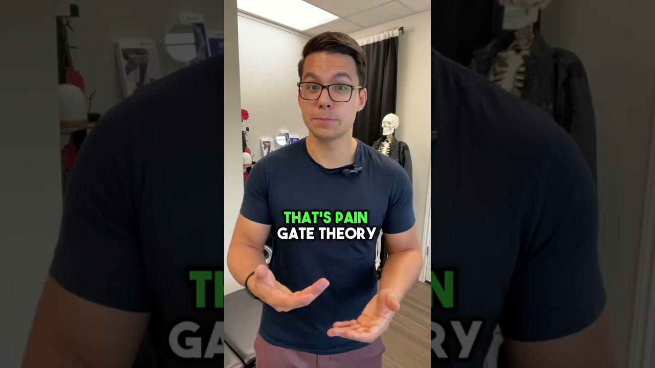 Pain Gate Theory EXPLAINED! 🤯 #chiropractic #Dr.AdamCSolis