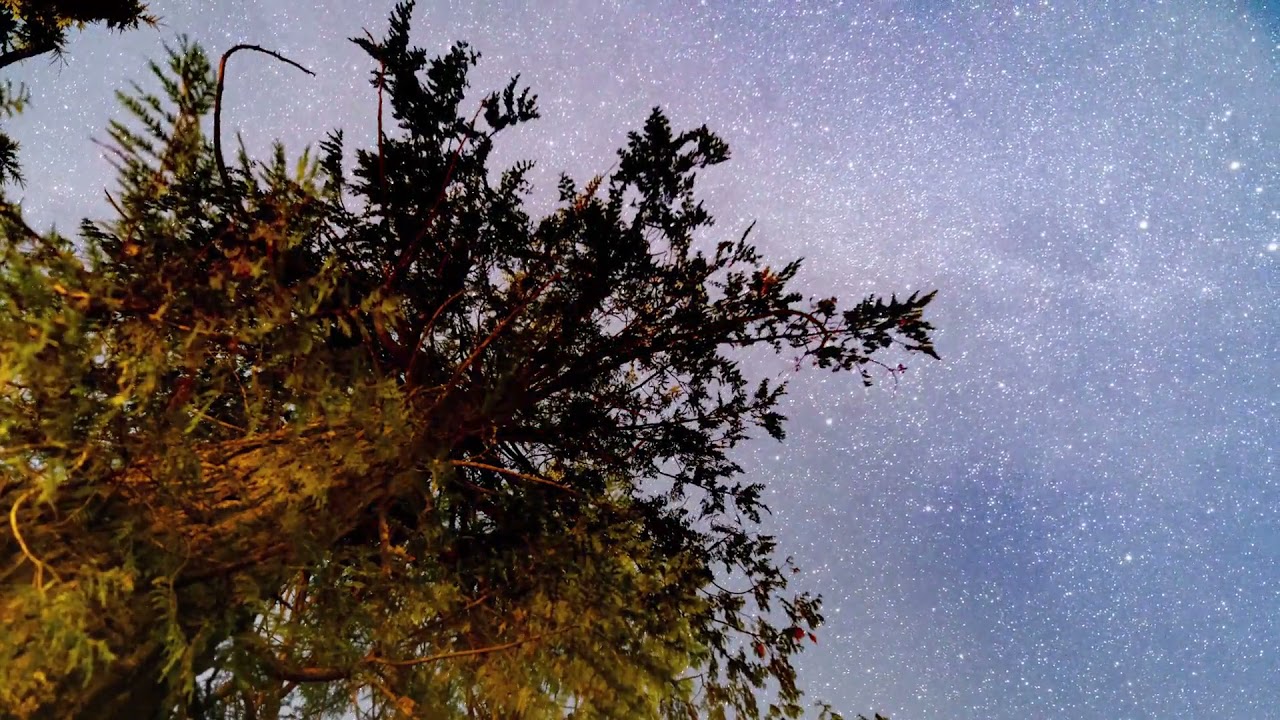 Manifestation examples | spiritual manifestation examples | how to manifest anything overnight