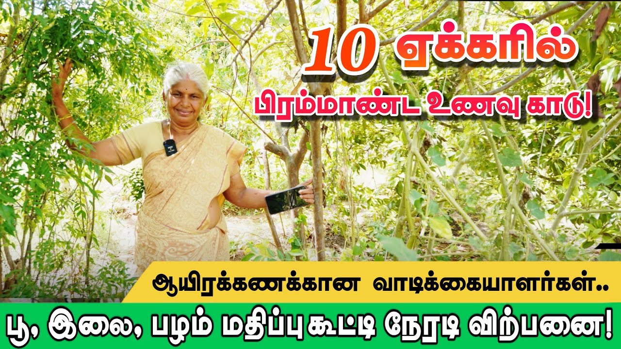 உணவுக்காடு மூலம் உழவில்லா வேளாண்மை | மதிப்புகூட்டி இந்தியா முழுவதும் நேரடி விற்பனை | Food forest