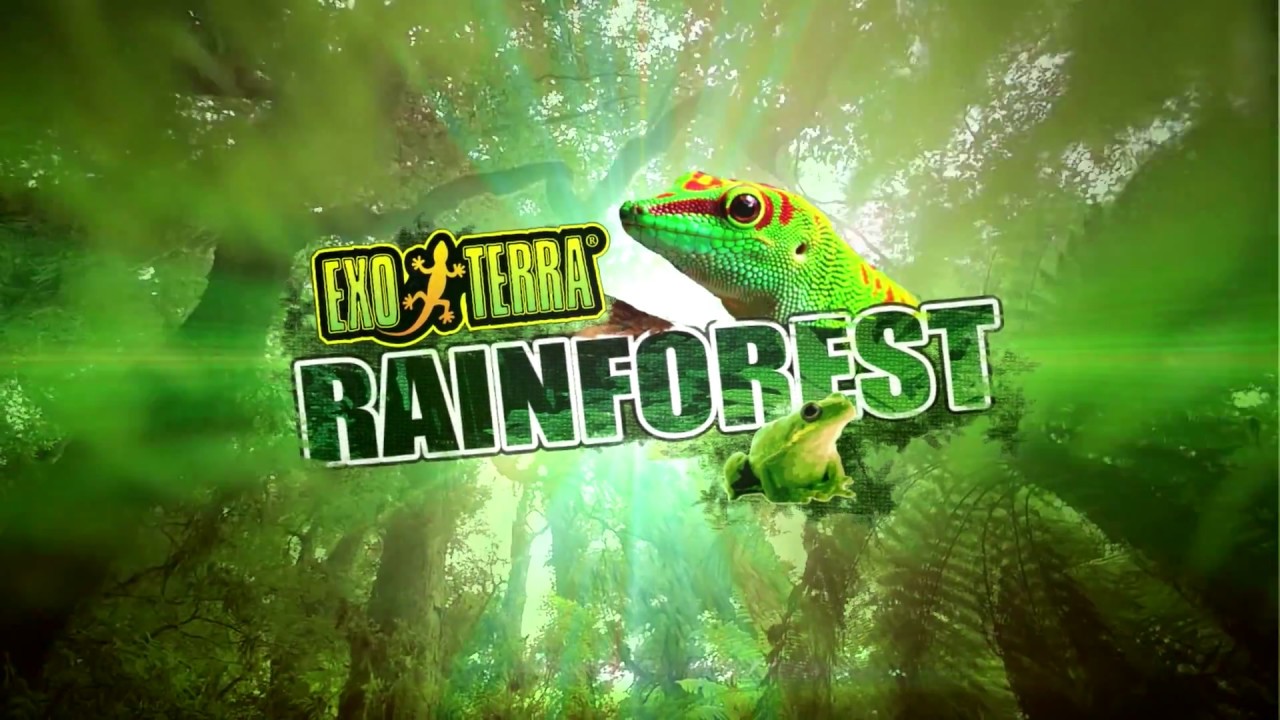 Exo Terra Rainforest