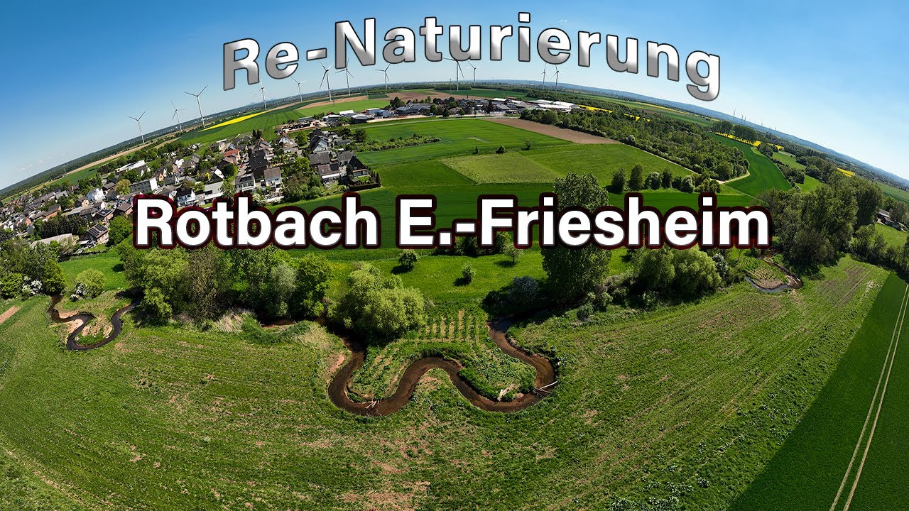 ReNaturierung  Rotbach im Bereich E.-Friesheim