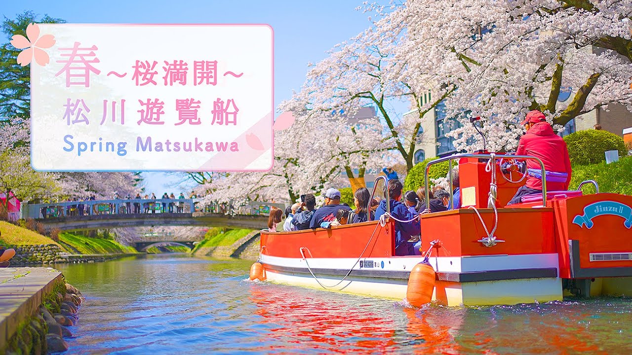 春～桜満開～ 松川遊覧船 #富山市 - Toyama Cherryblossom Japan [富山の4K映像]