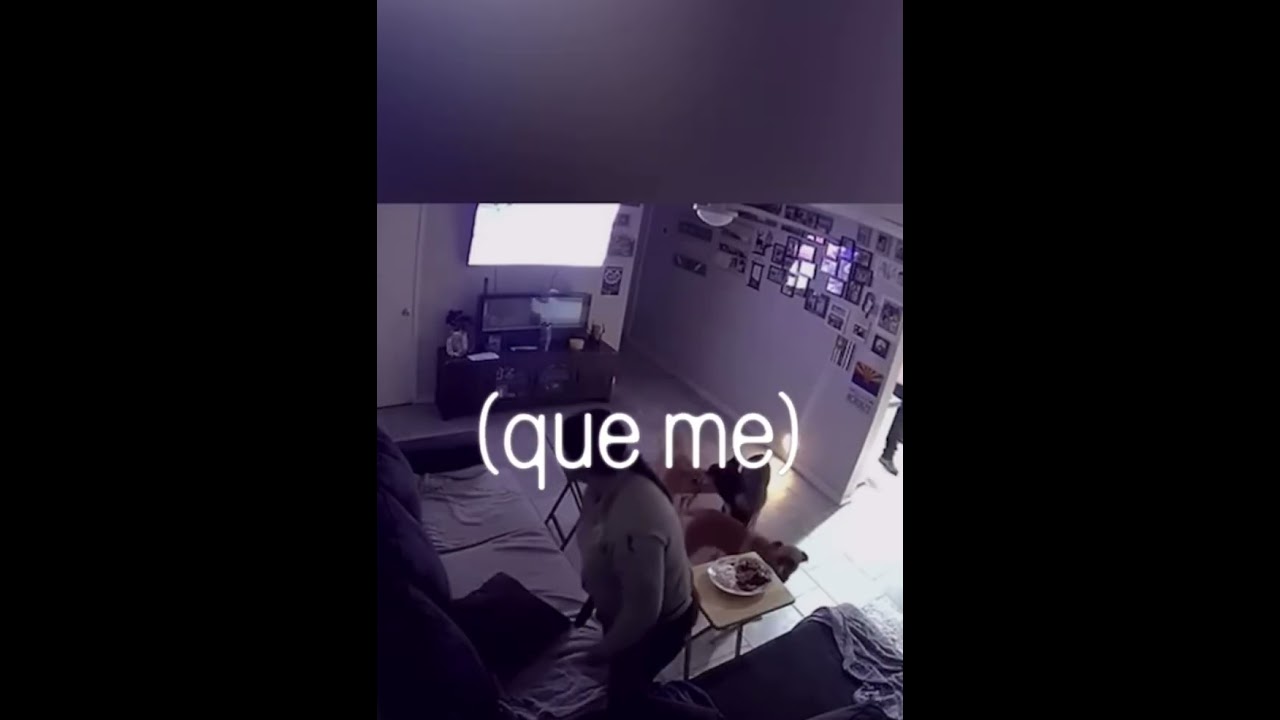 No me mires con esos ojos&hellip; #sad #momentbeforedisaster #2025 #creepy #shorts #viralvideo