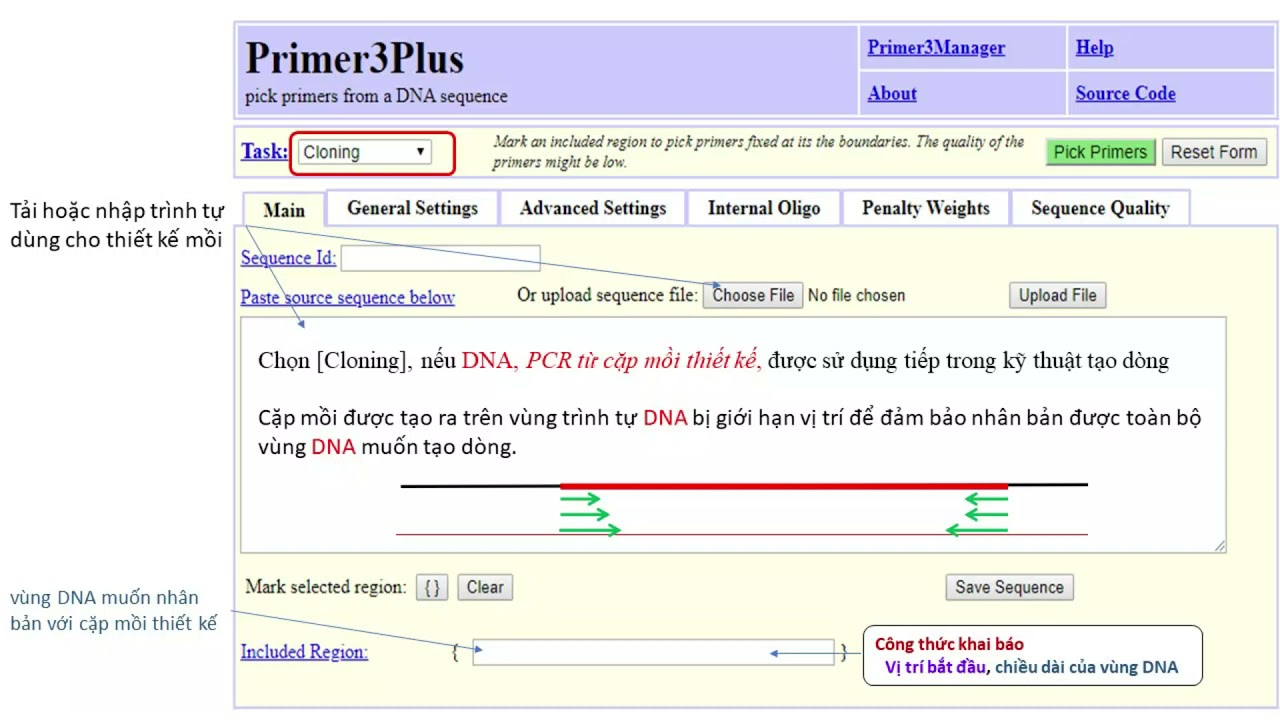 HuongDan Primer3Plus verOct 31 2021