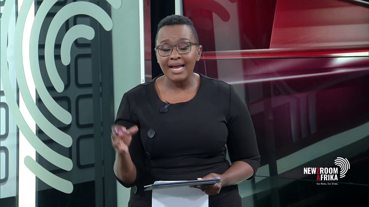 What is the role of chapter 9 institutions in South Africa?