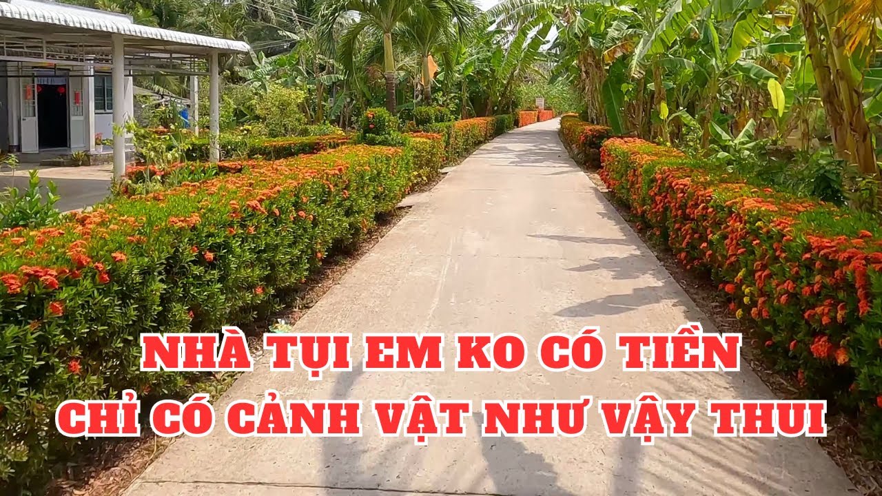 Khám phá ấp 7 xã Khánh Hội Huyện U Minh Cà Mau [Phần 1]