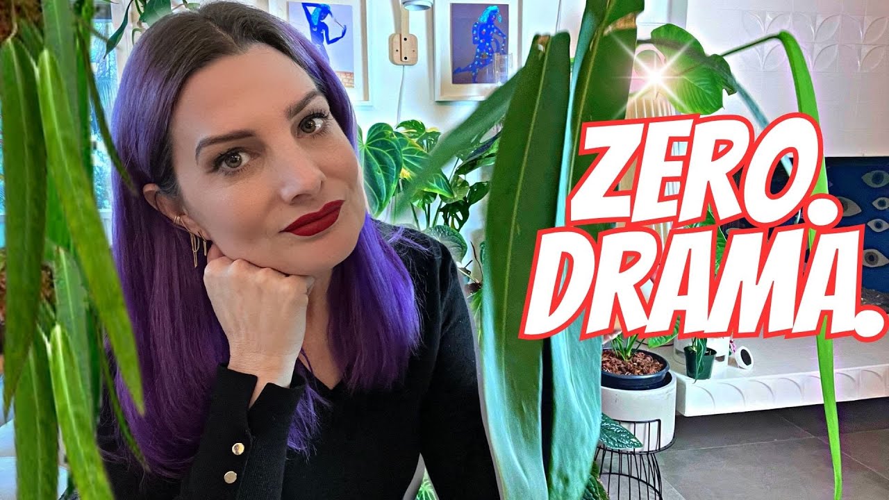 The Best Feel-Good Rare Plants with ZERO Drama 🌱🎭