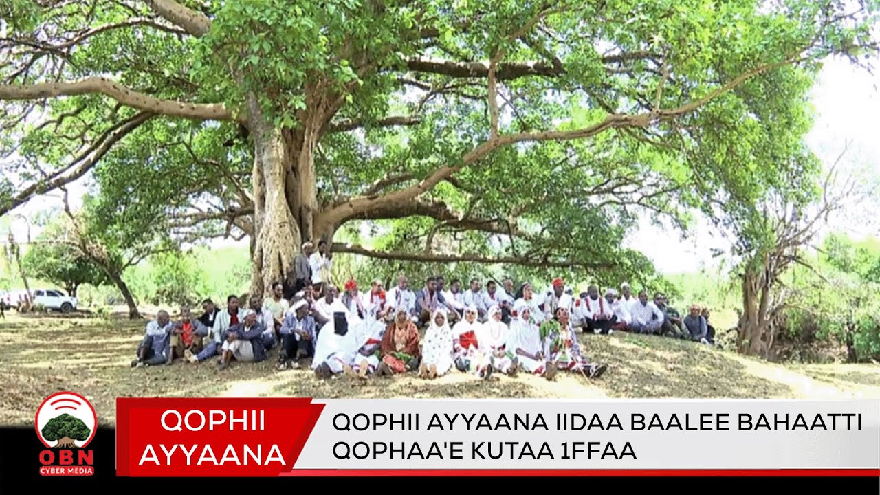 Qophii Ayyaana Iidaa Baalee Bahaatti Qophaa'e  Kutaa 1ffaa