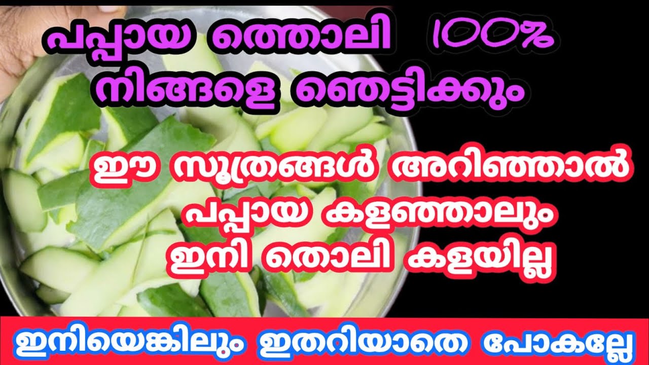 പപ്പായ തൊലി കൊണ്ടുള്ള ഈ സൂത്രങ്ങൾ ഇത്രനാളും അറിയാതെ പോയല്ലോ |papaya Peel uses