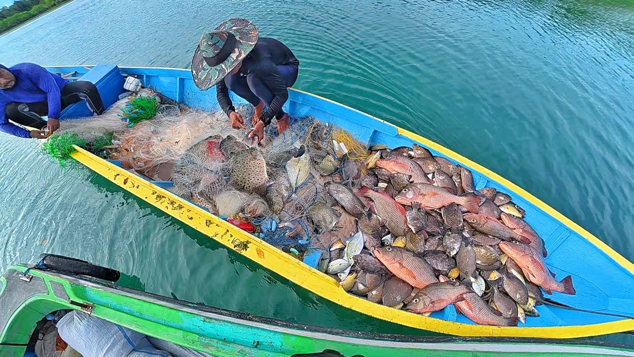 tehnik kahup cara  paling ampuh menjaring ikan kakap dan baronang