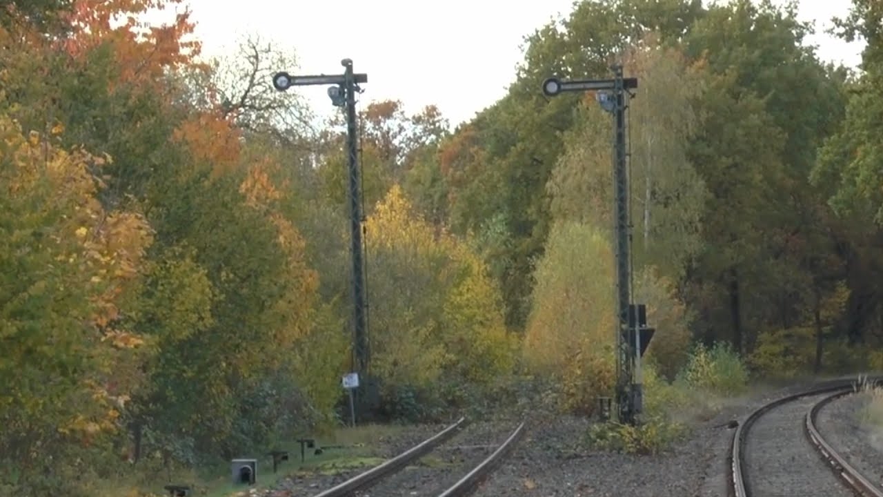 Dannenberg Ost    2.11.2025