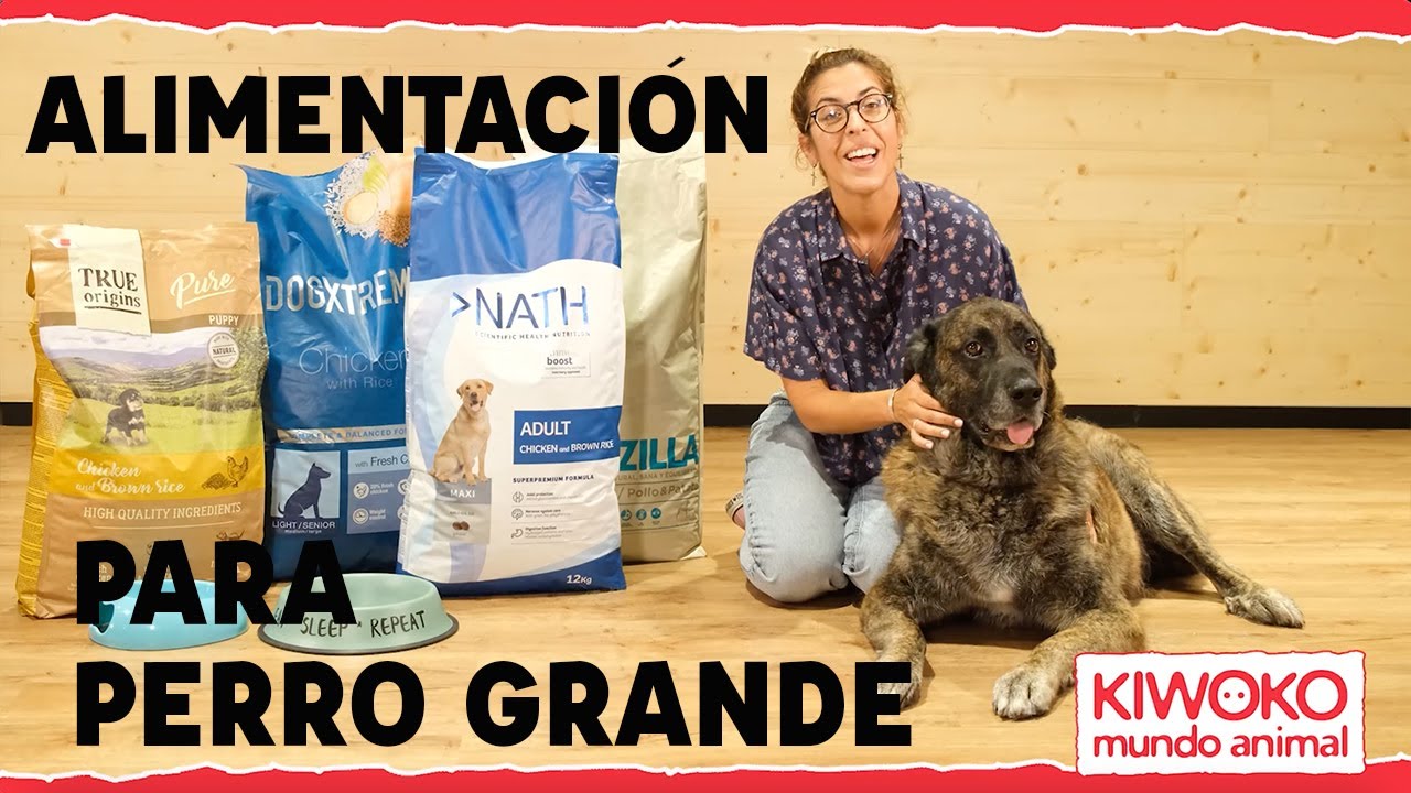 El Mejor PIENSO para PERROS GRANDES y GIGANTES 🐕🔥 ✅