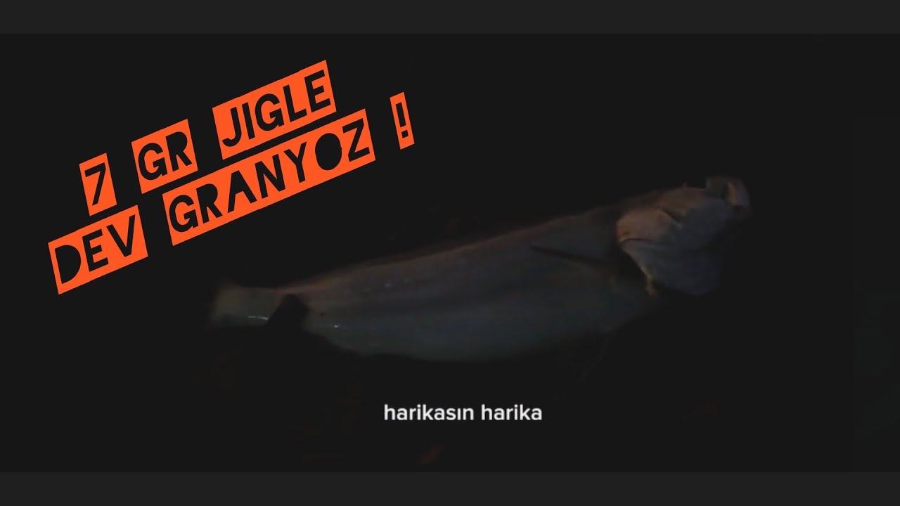 Lrf ile dev granyöz ! mikro takıma binen 92 lik trofe !