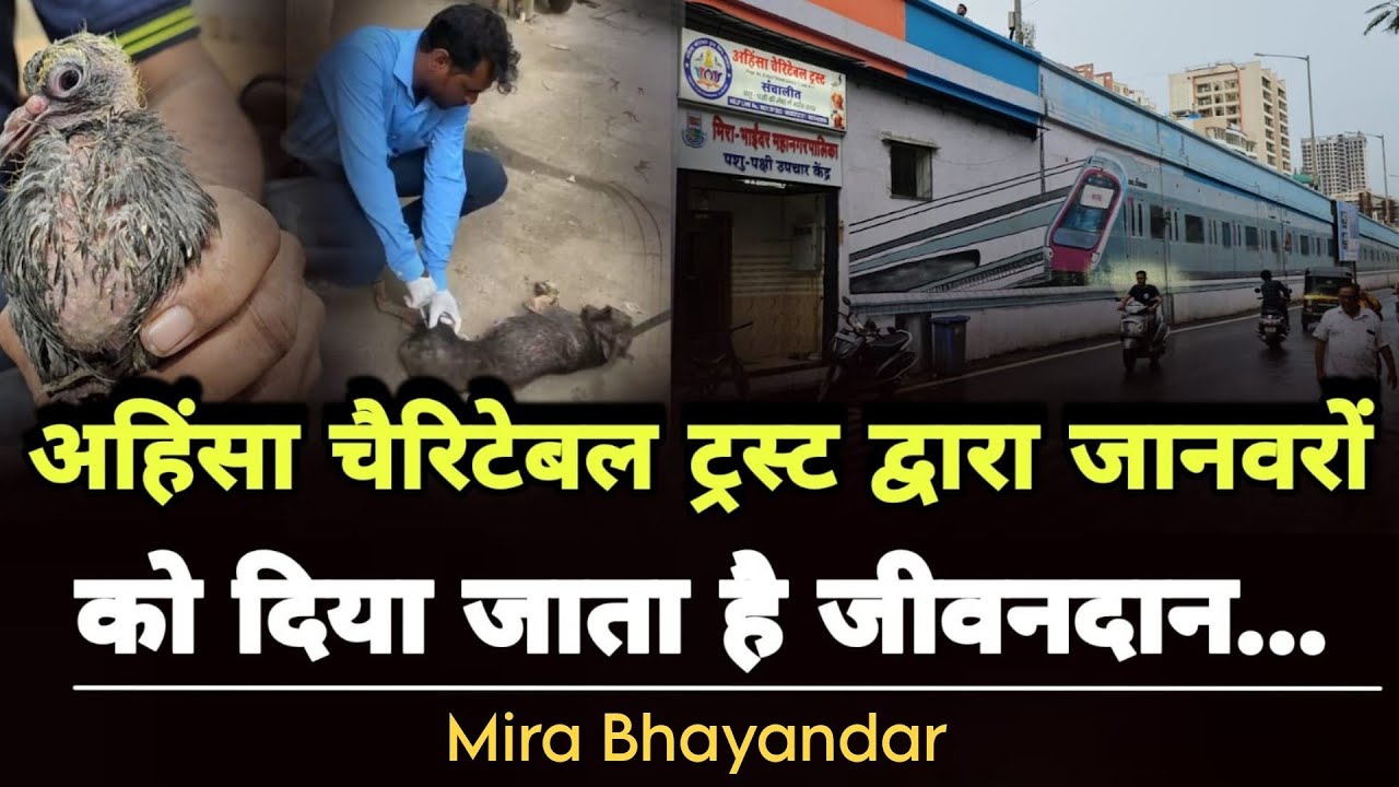 Bhayandar | Animal Hospital भाईंदर पश्चिम में शुरू - कई पशु पक्षियों का होतो है इलाज...