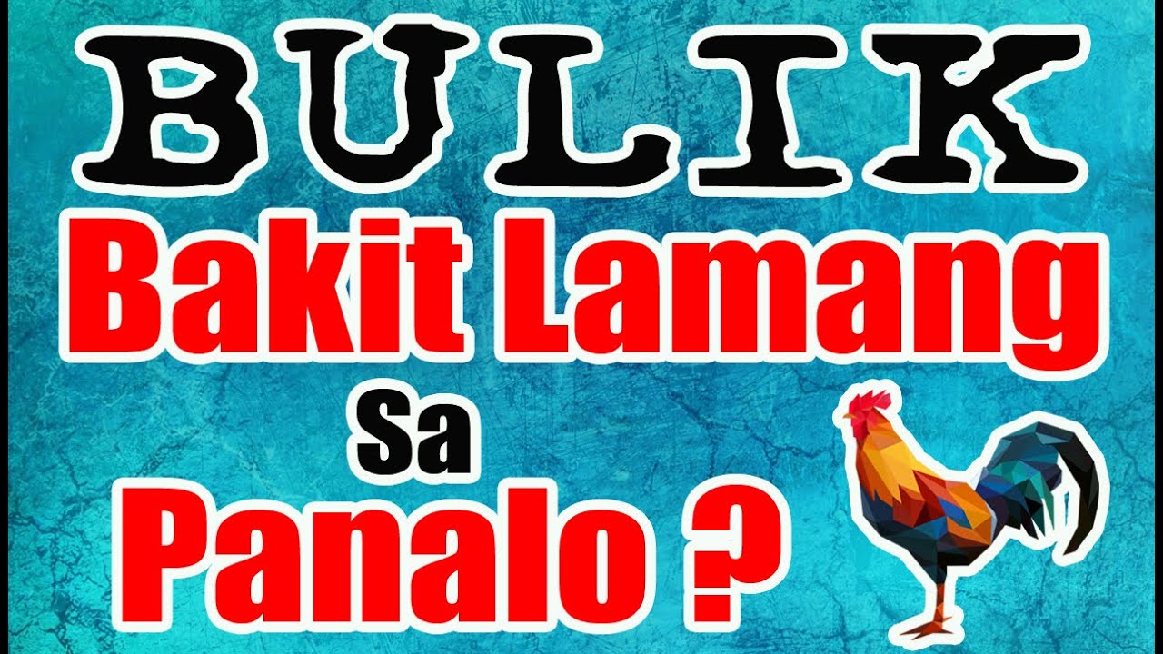 MANOK NA BULIK BAKIT LAMANG SA PANALO