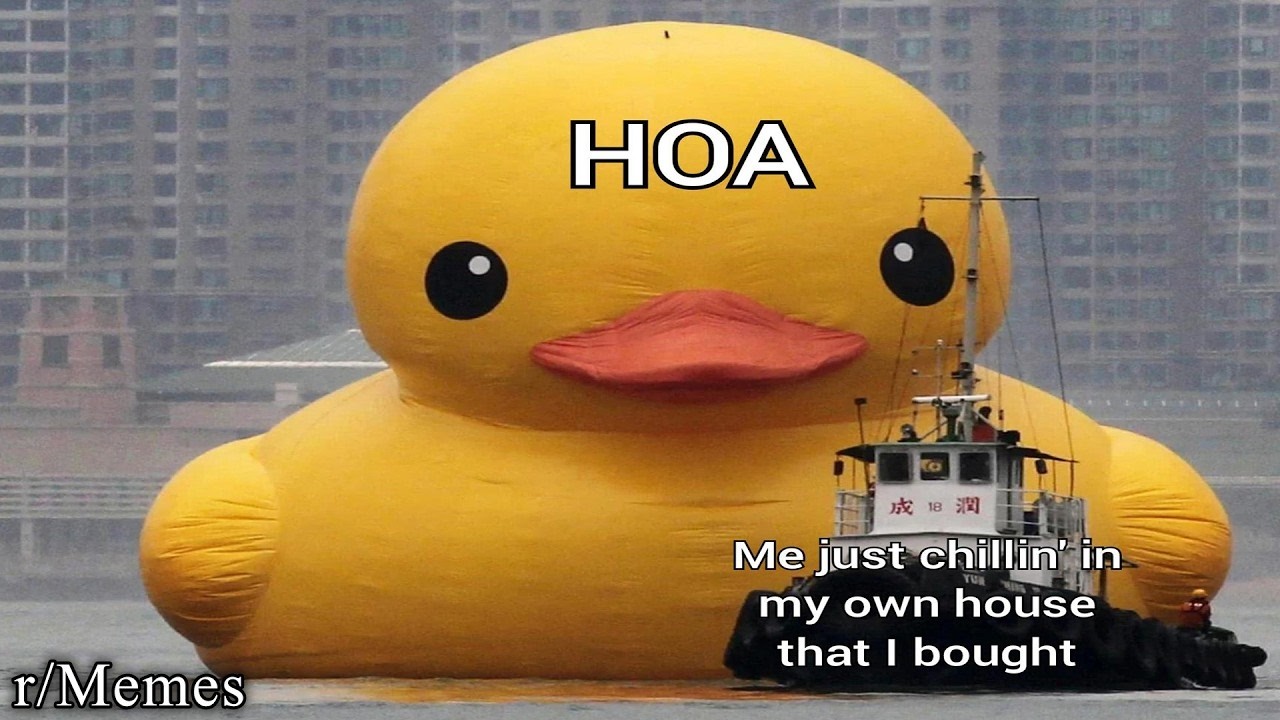 AN HOUR OF R/MEMES