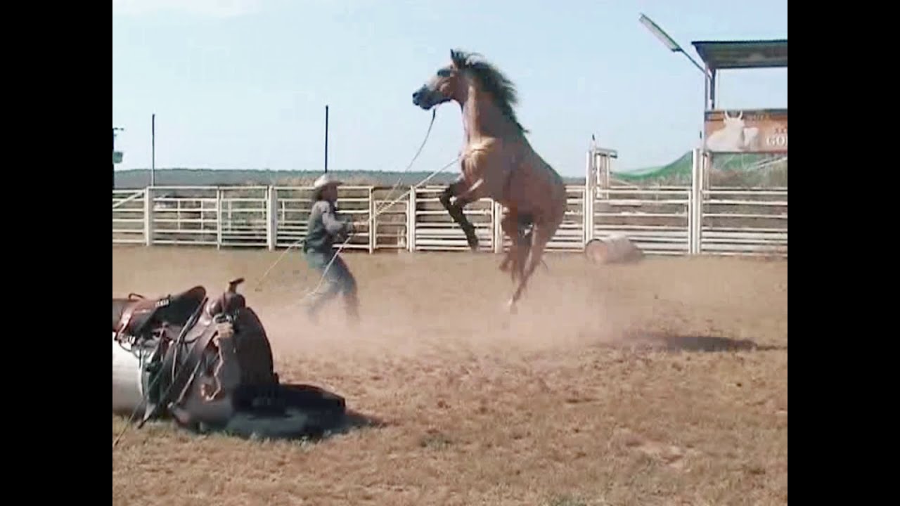 How not to break a horse. Colt start with no editing and the first ride in 30 minutes.