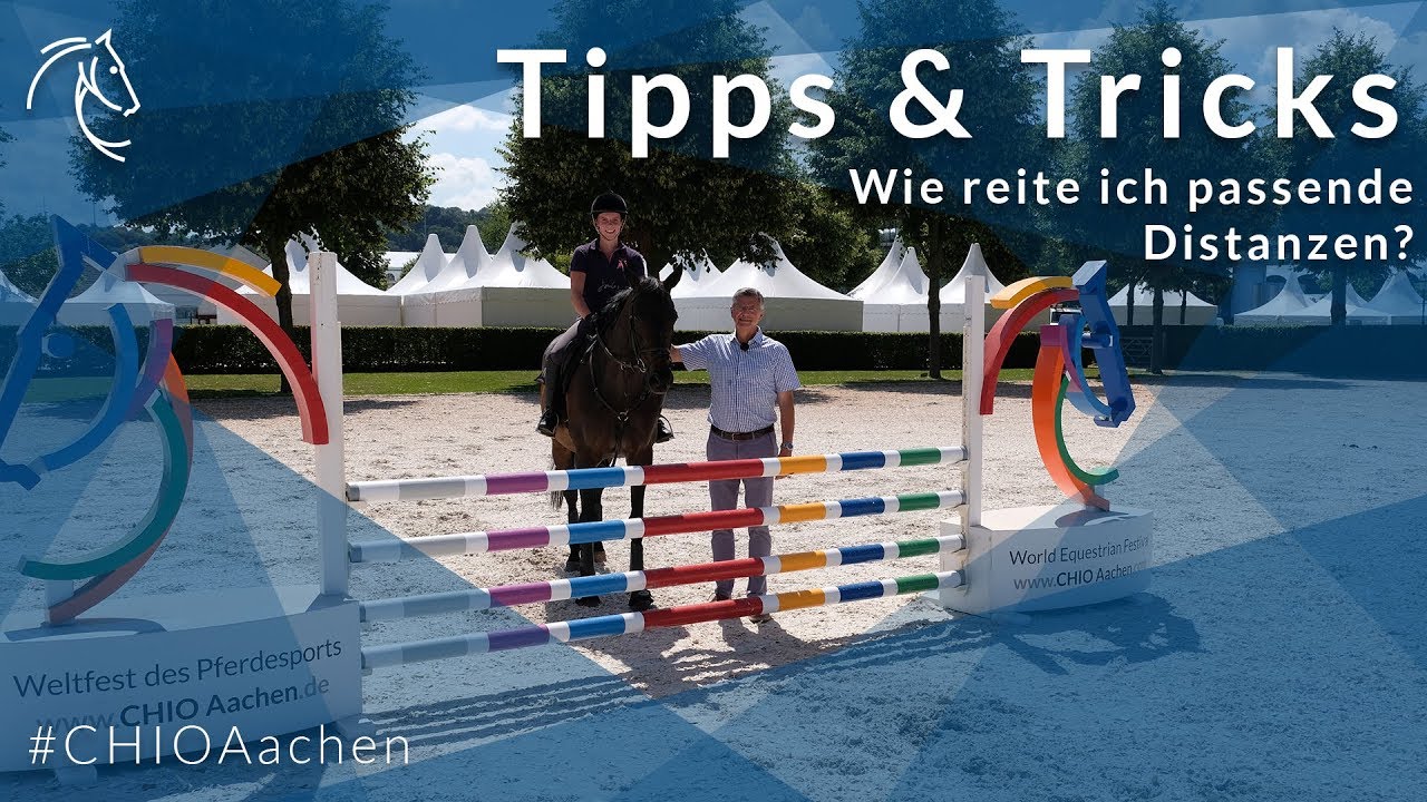 Tipps & Tricks: Wie reite ich passende Distanzen?