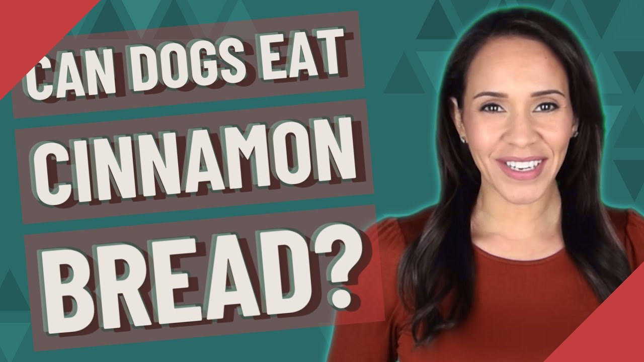 Can dogs eat cinnamon bread?
