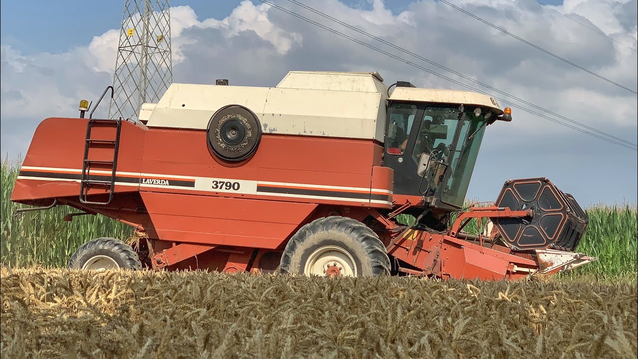 🇮🇹Old Glory🇮🇹 Laverda - Fiatagri 3790 + New Holland t6.165 & Randazzo 2 assi {Raccolta grano}