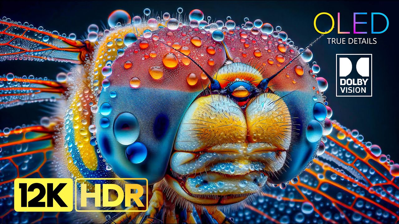 Лучший 4к видео Dolby Atmos - Dolby Vision - 4K HDR 240 FPS