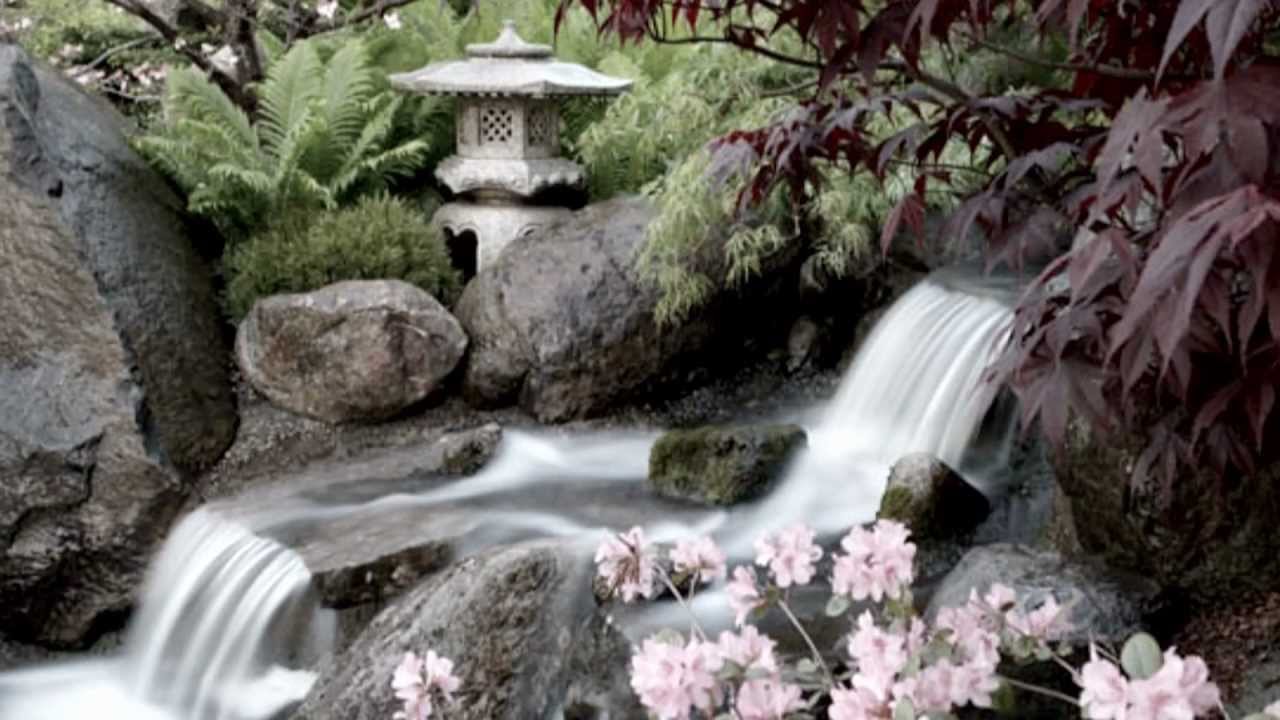 International Forgiveness Week and Weekend of Perfect Peace
