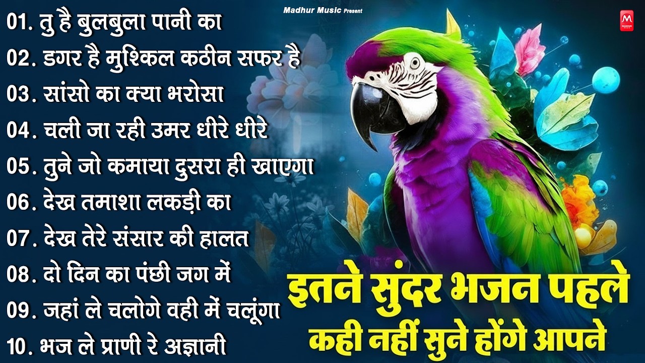 इतने सुंदर भजन पहले कही नहीं सुने होंगे | Nonstop Satsangi Nirgun Bhajan | चेतावनी भजन | निर्गुण भजन