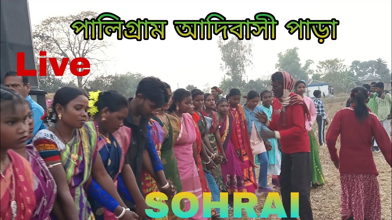 paligram adivasi para sohrai porob