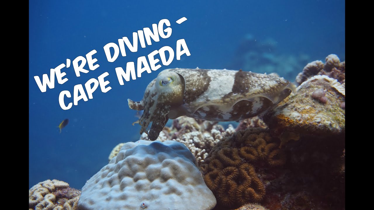 We're Diving - Cape Maeda
