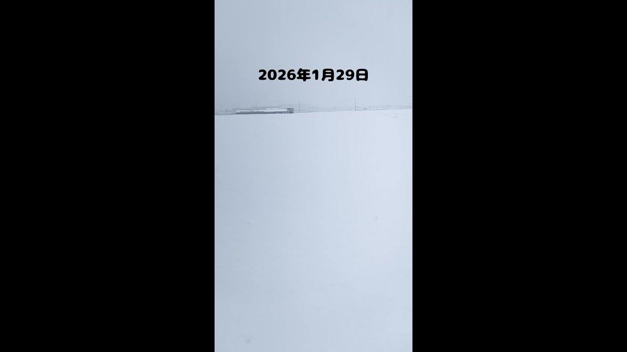 2026年1月29日白山市