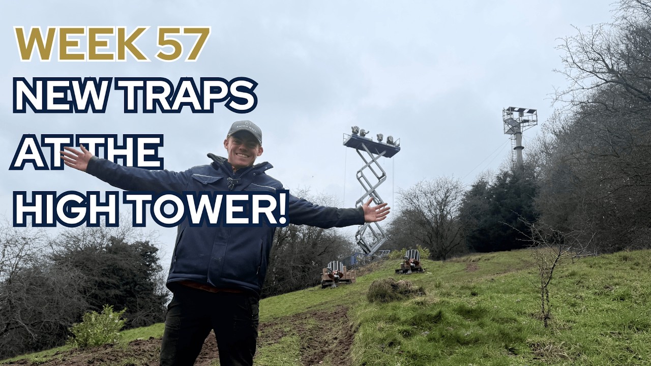 Новые ловушки в Высокой башне! - Видеоблог № 57.