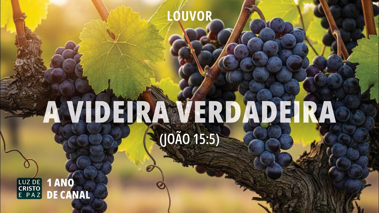 Louvor: A VIDEIRA VERDADEIRA - Uma Canção de Dependência e Entrega (João 15:5)