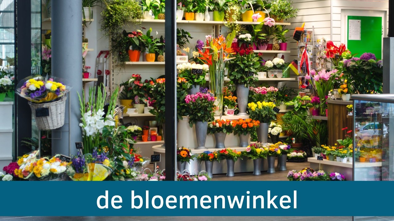 Plaatsen - winkels