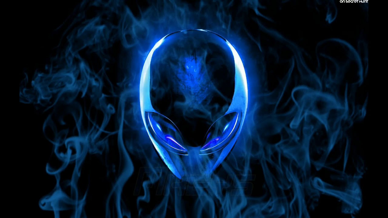 Mkeys - La Purge