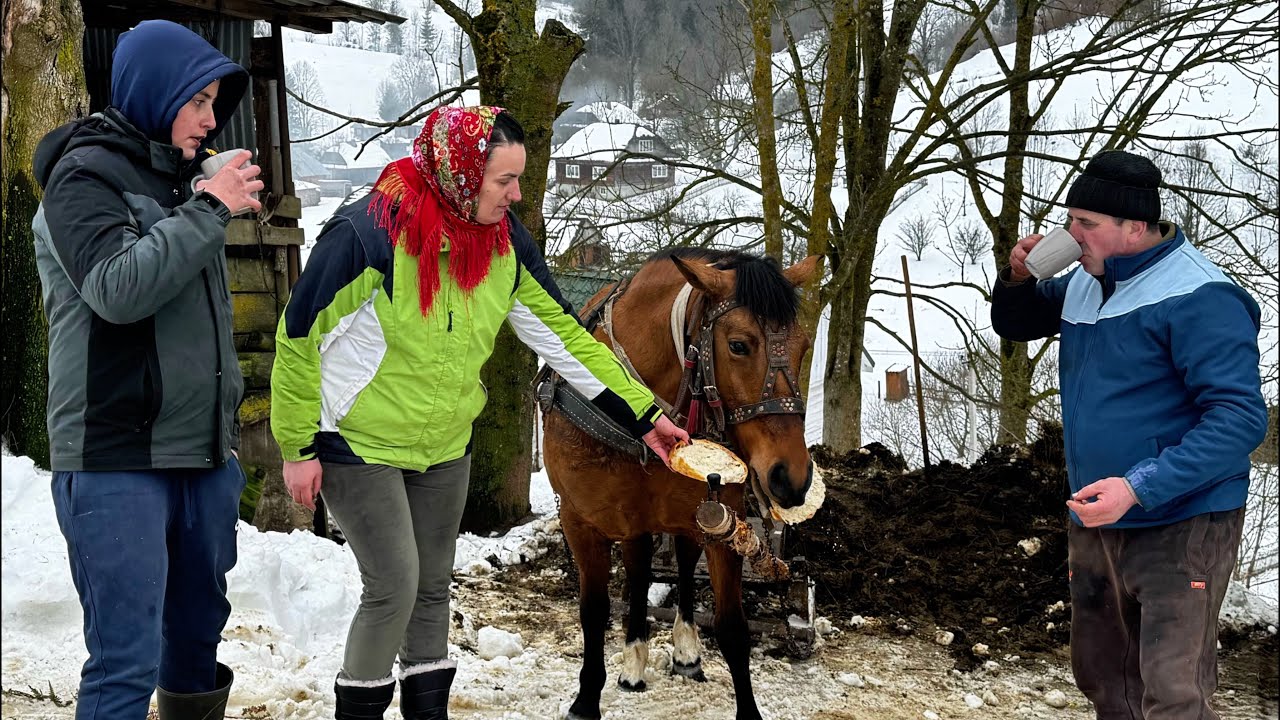 Hutsul Life: Family Traditions and Culinary Secrets of the Carpathians