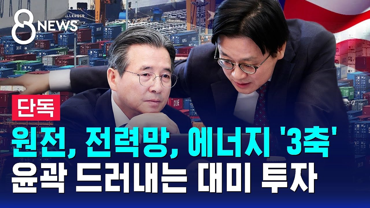 [단독] '원전·전력망·에너지' 투자 검토…희토류 공장도 / SBS 8뉴스