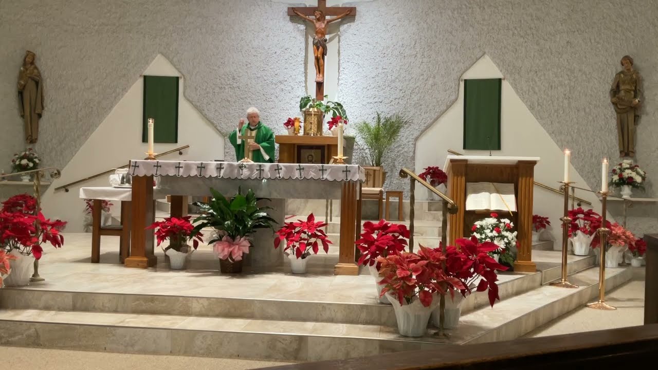 English Mass 2/15/26 at St. John the Evangelist Catholic Church Pensacola, FL with Father Licari