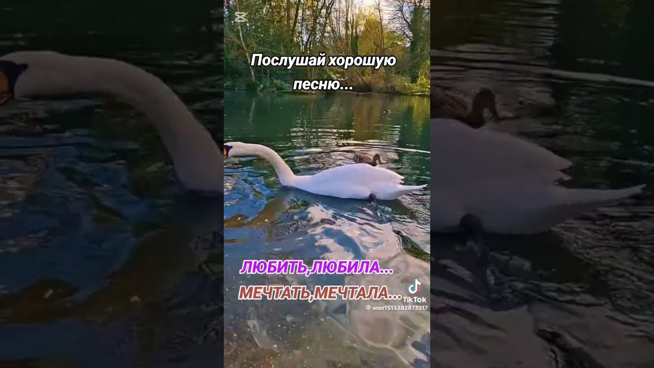 Послушайте красивую песню.