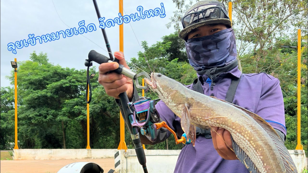 ลุยเข้าหมายเด็ด งัดช่อนใหญ่ไซส์โบ้