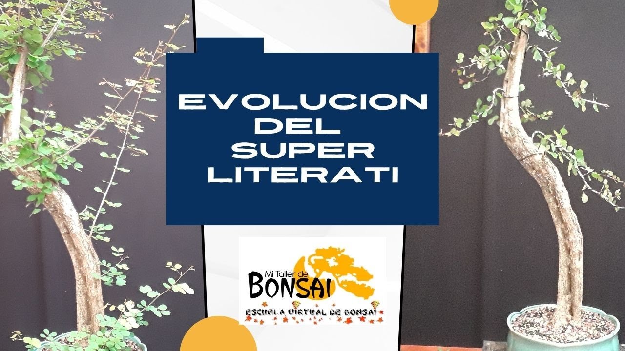 Evolución del SUPER literati